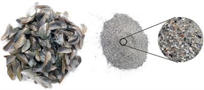 Evaluating Sururu shell waste (Mytella falcata) as an eco-friendly recycled aggregate in mortar production